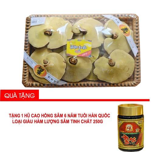 Nấm Linh Chi Thơm Korea Thượng Hạng 1Kg (Vàng) - Thải Độctốt Cho Gan Thận Tặng 1 Hũ Cao Hồng Sâm Hàn Quốc 6 Năm Tuổi 250G