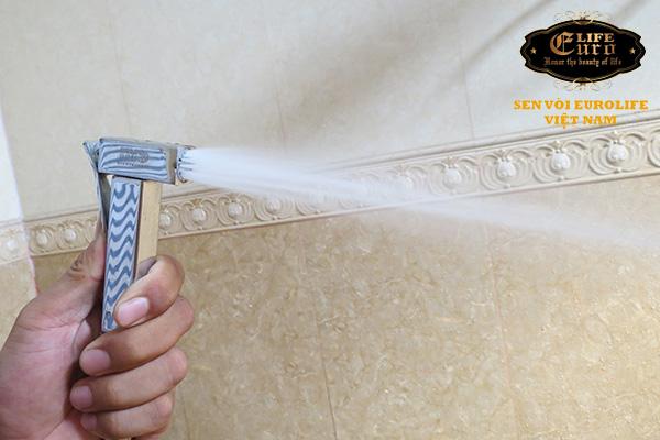Bộ tay xịt vệ sinh bằng đồng Eurolife EL-X03-10.jpg