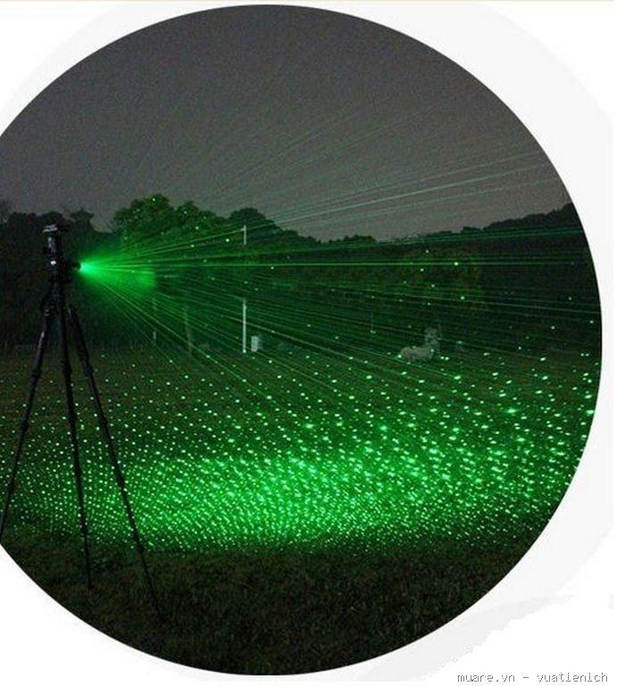 denpinLaser303_11.jpg