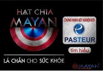 mayan-hat-chia-pasteur.jpg