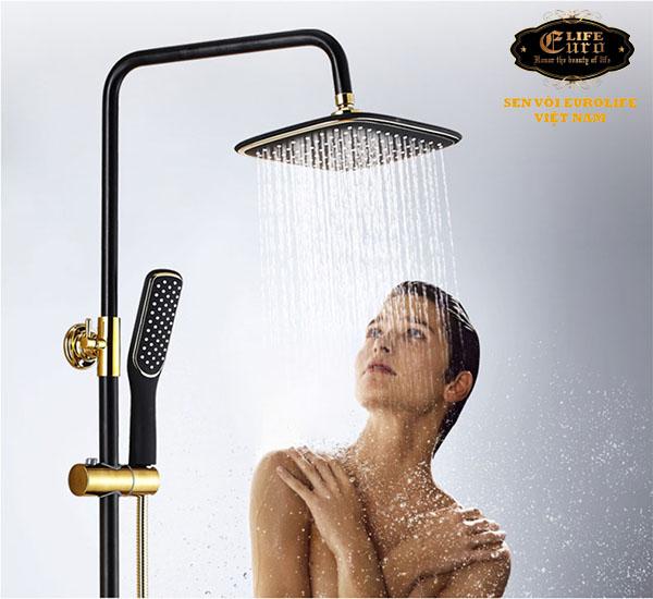 Bộ sen cây tắm đứng nóng lạnh Eurolife EL-S914-31.jpg
