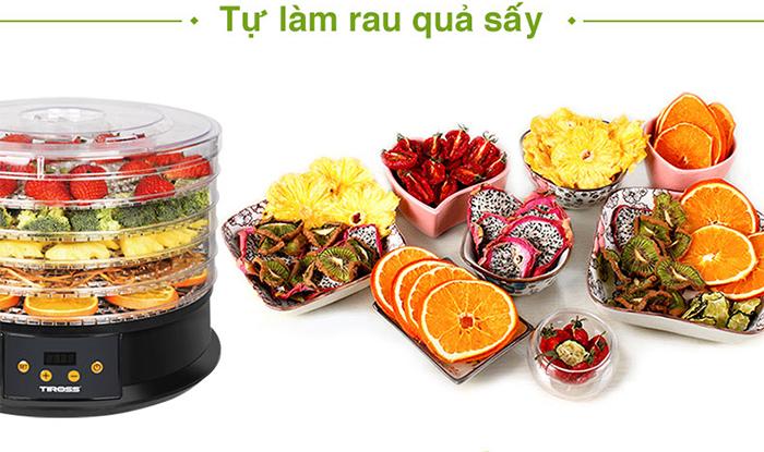 Làm rau quả sấy với Tiross TS9682