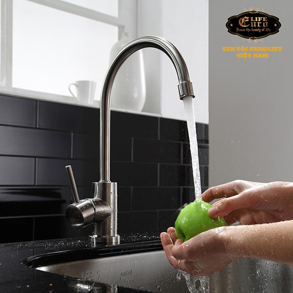 Vòi rửa chén lạnh Inox SUS 304 Eurolife EL-T017-44.jpg
