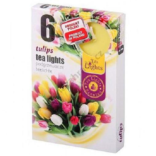 Hộp-6-nến-thơm-Tea-lights-Admit-Tulips-ADM7746-Hương-hoa-tulip.jpg
