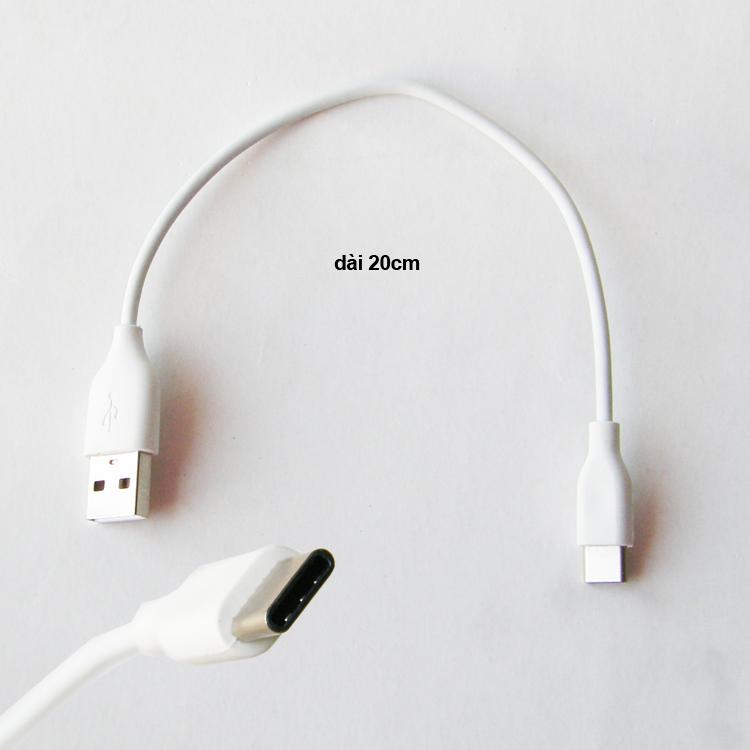 cap sac pin du phong type c 20cm-1.jpg