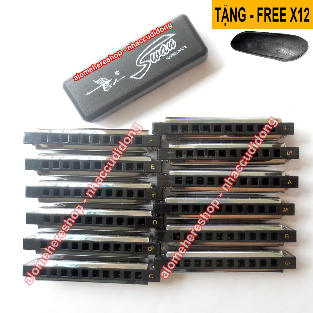 bo 12 cay ken harmonica swan sw1020 key c db d eb e f g gb a ab b bb.JPG