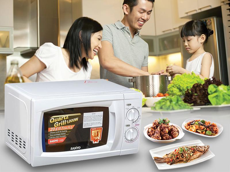 sanyo-em-g2088w-1