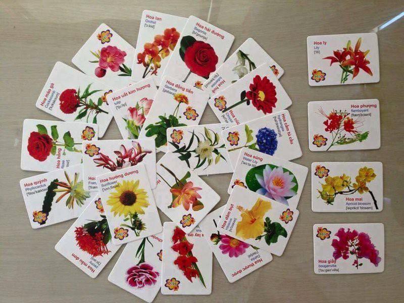 bo-sieu-pham-flash-card-16-chu-de-voi-416-the-hoc-cho-be-1m4G3-Q1OaK7_simg_d0daf0_800x1200_max.jpg