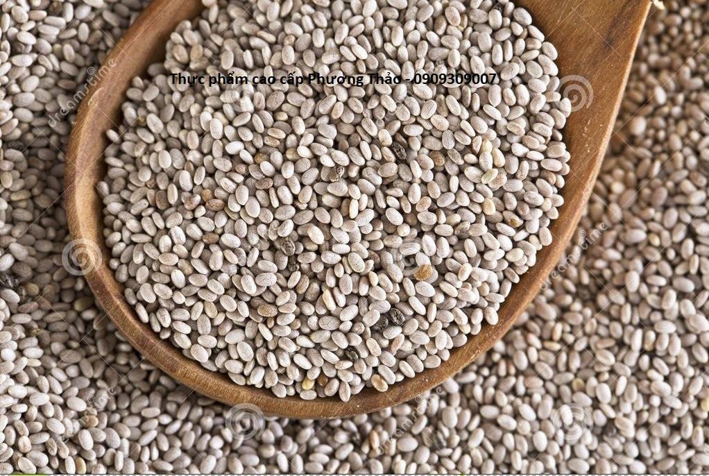 chia sunfood trắng sfdg logopt.jpg