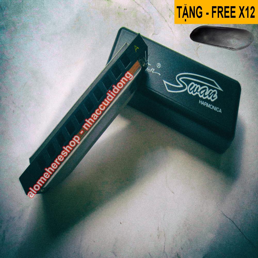 bo 12 cay ken harmonica swan sw1020 key c db d eb e f g gb a ab b bb 14.JPG