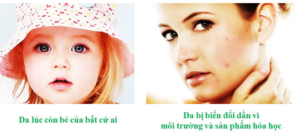 DA.PNG