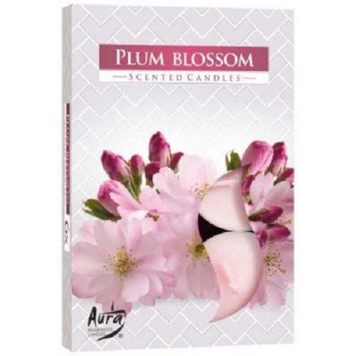 Hộp-6-nến-thơm-Tealight-Bispol-Plum-Blossom-BIS1618-Hương-hoa-mận.jpg