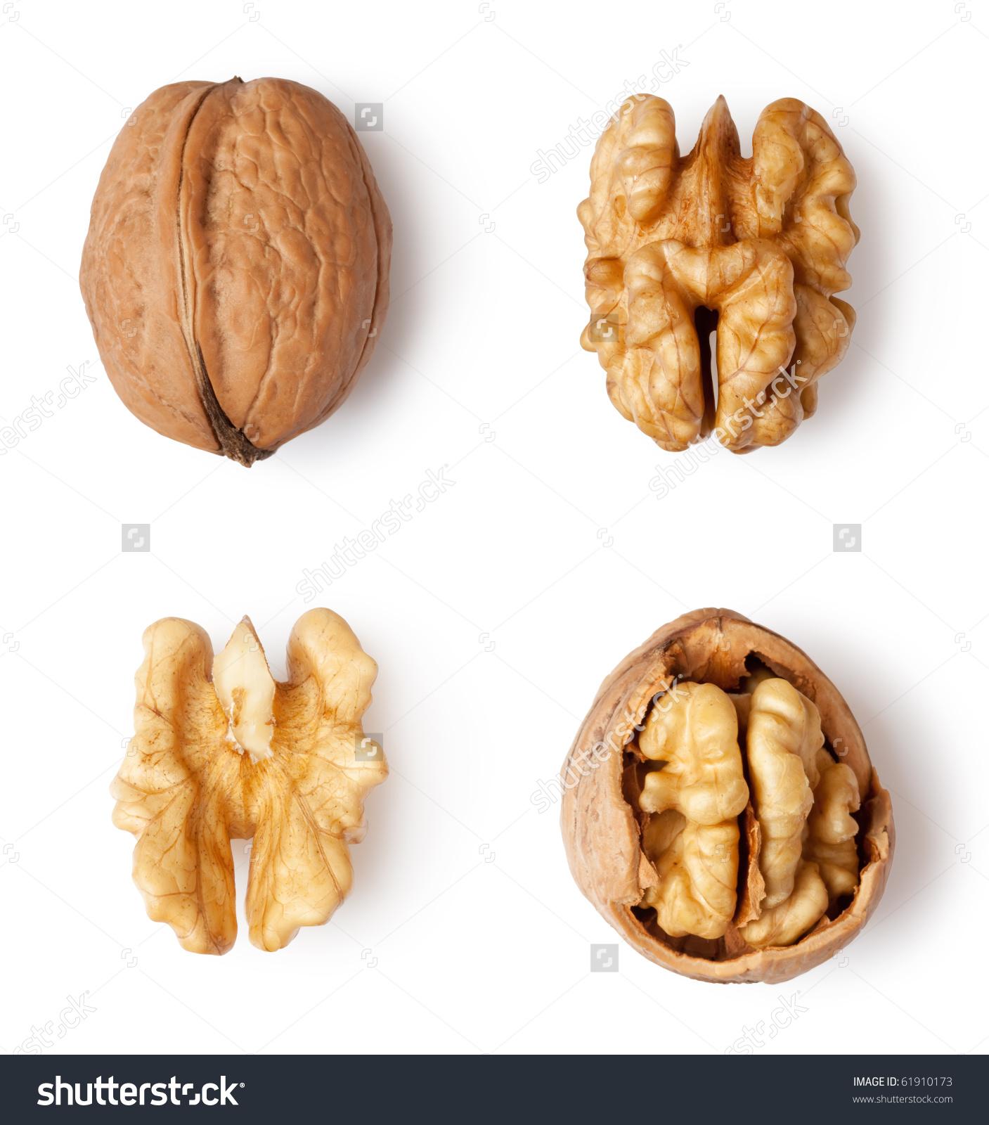 stock-photo-walnut-and-a-cracked-walnut-isolated-on-the-white-background-61910173.jpg