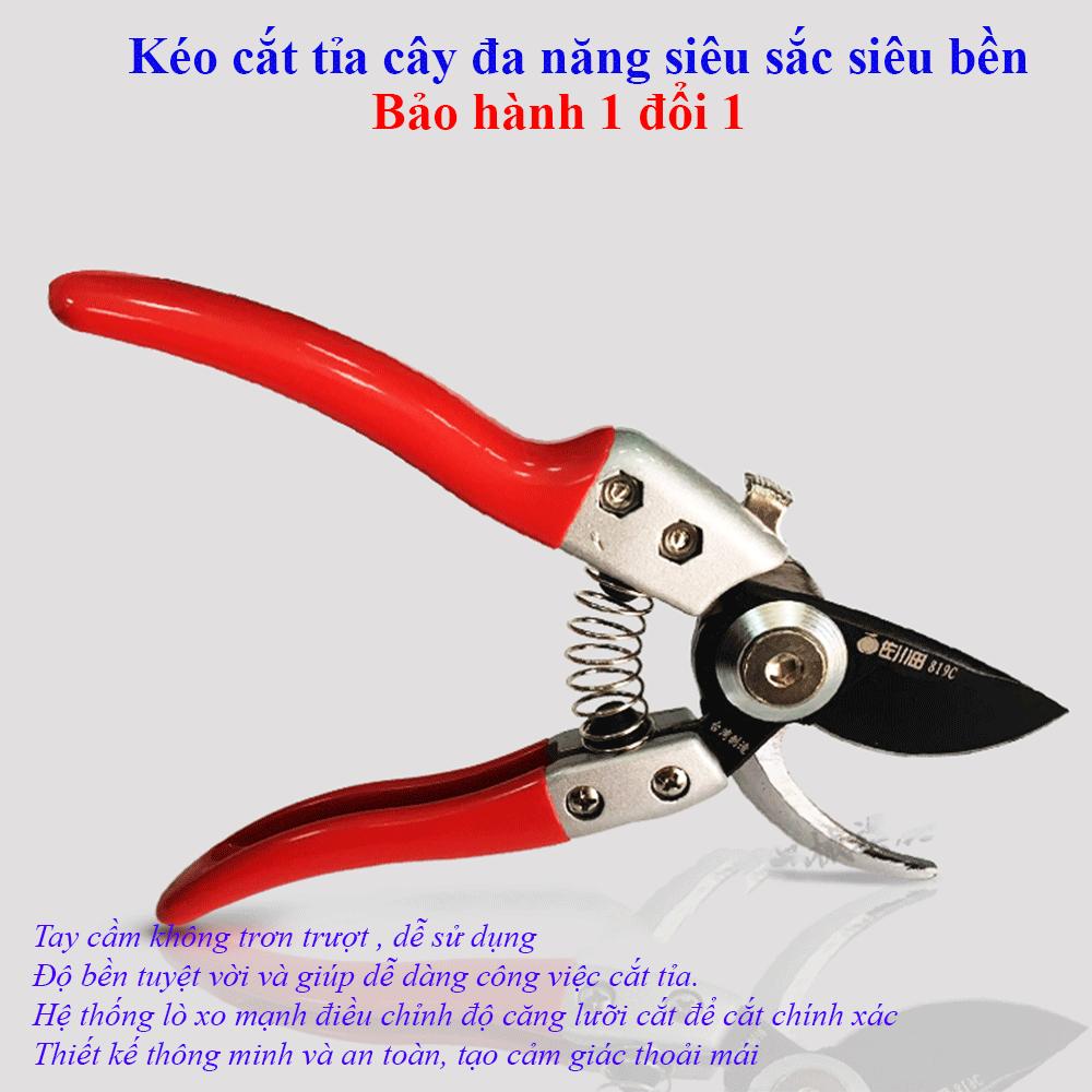 01.gif