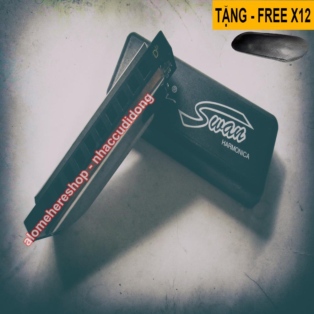 bo 12 cay ken harmonica swan sw1020 key c db d eb e f g gb a ab b bb 16.JPG