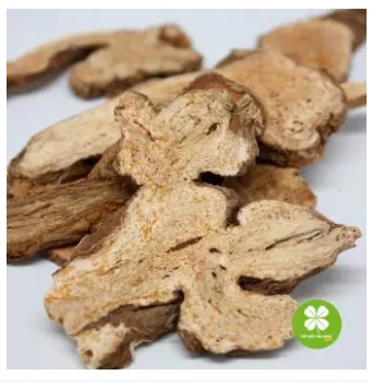 Bạch Truật (Gói 1Kg) - Tdx195