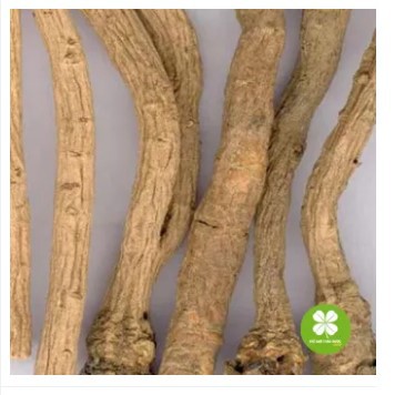 Bản lam căn loại xịn (gói 1kg) - EG380