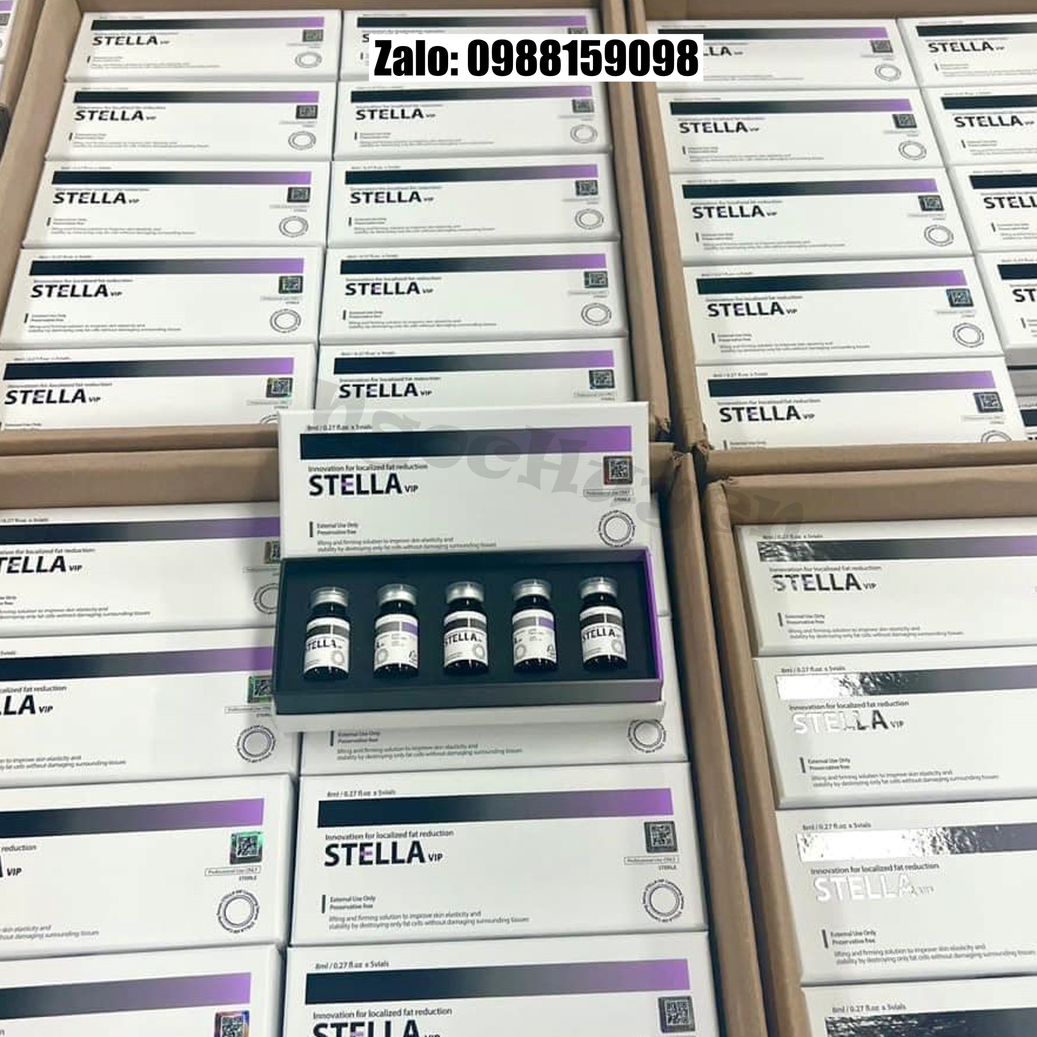 Tan mỡ Giảm béo Stella bản mới - 1 hộp 5 lọ