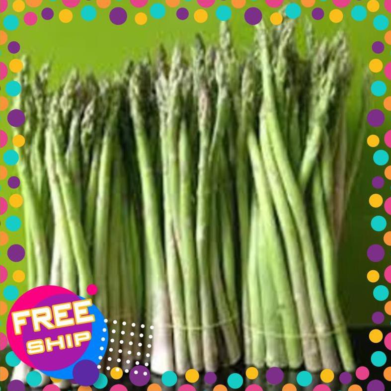 Cây giống Măng Tây xanh cây giống chuẩn F1