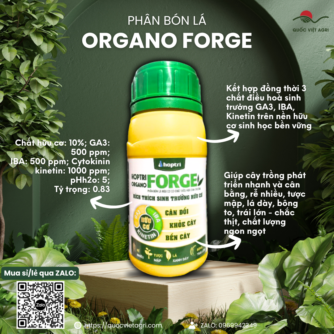Phân bón kích thích sinh trưởng ORGANO FORGE HỢP TRÍ (chai 250ml)