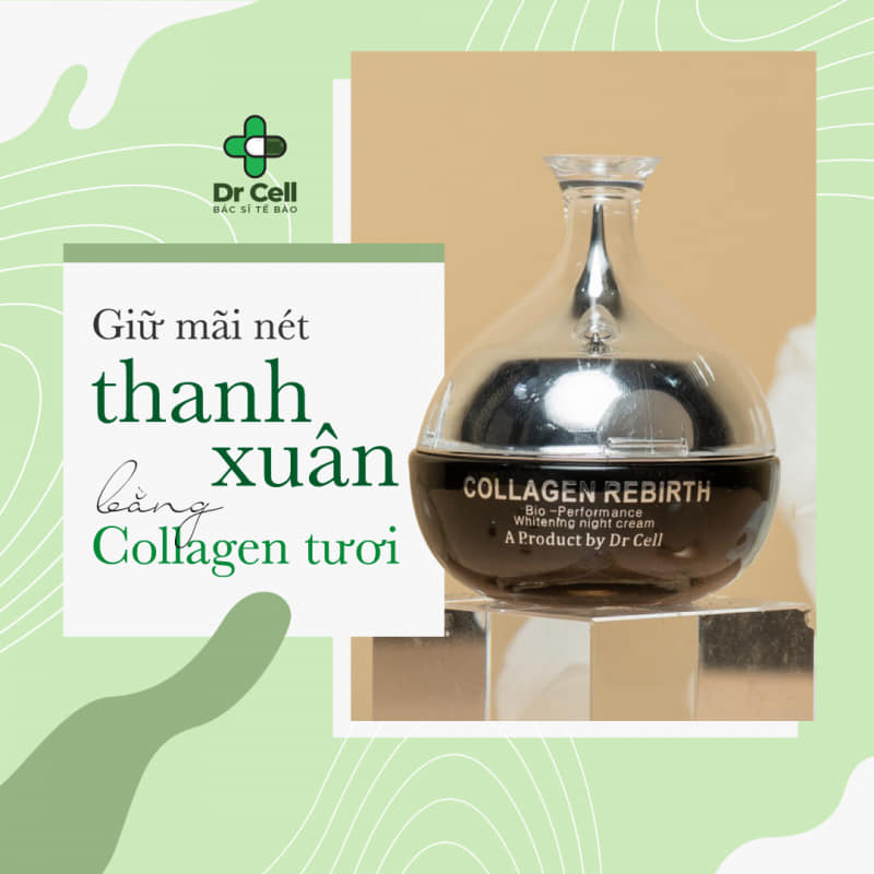 [Chính Hãng].Kem Dưỡng Da Tái Sinh Ban Đêm Collagen Rebirth