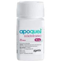 [Hủ 100 viên] Viên Apoquel Cho Chó (Zoetis USA) - Nhiều Size - [Nông Trại Thú Cưng]