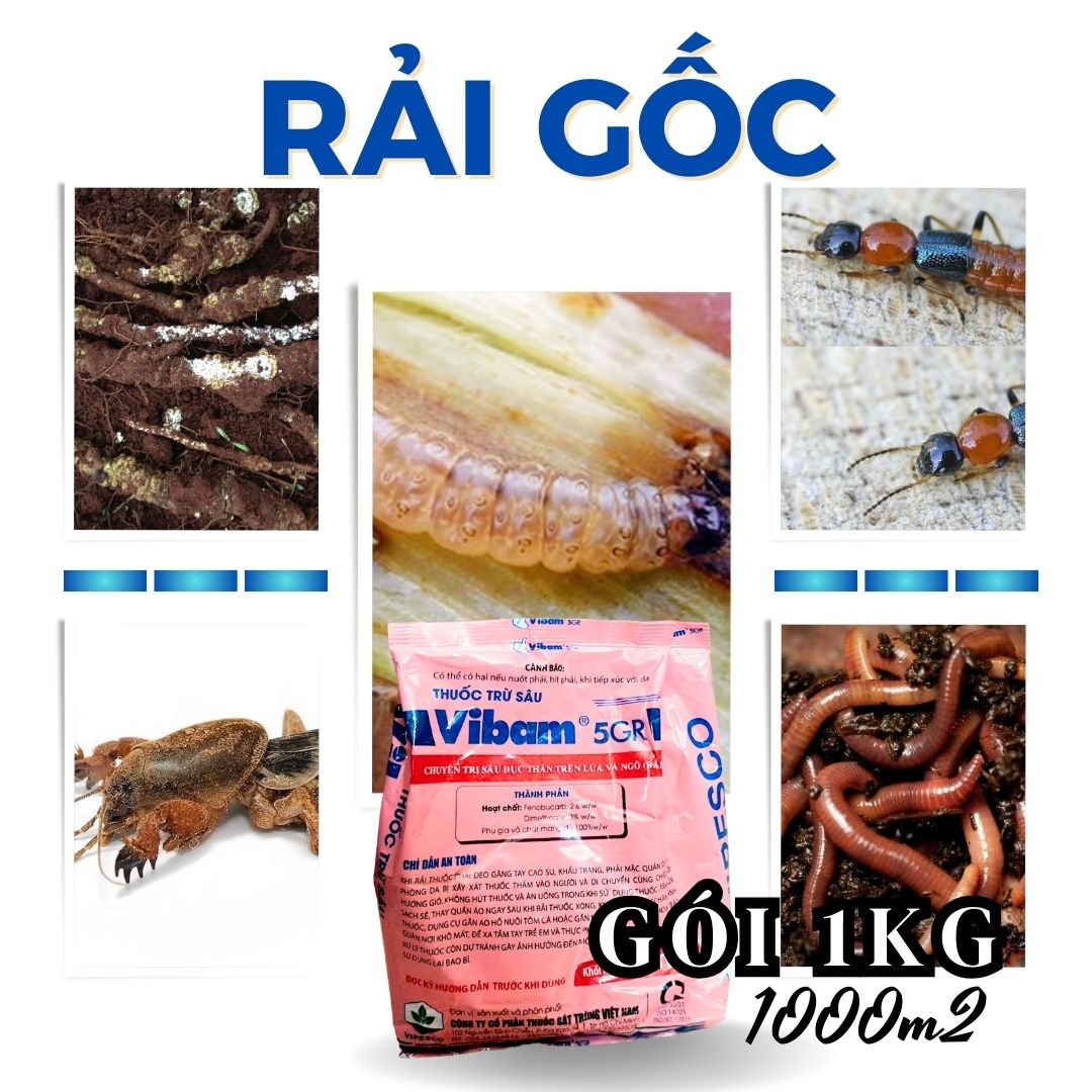 Vibam 5gr gói 1kg rải gốc phòng ngừa kiến sâu đục thân sâu đục bẹ giun dế nhũi bọ hà khoai lang