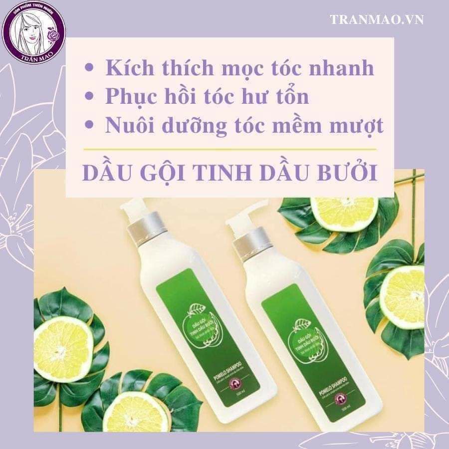 [Hcm]Dầu Gội Tinh Dầu Bưởi Trần Mao