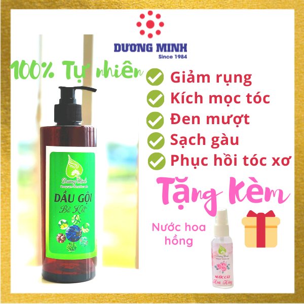 Dầu Gội Thảo Mộc Bồ Kết Dương Minh 100% Thành Phần Organic Nấu Thủ Công Dầu Gội Giảm Rụng Chăm Sóc Tóc Phục Hồi Tóc