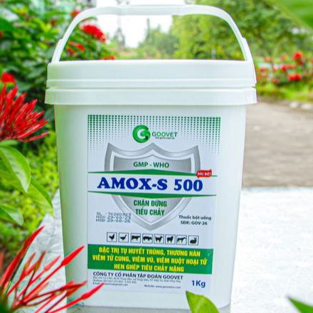 AMOX S500 50% viêm ruột hoại tử viêm tử cung viêm vú tụ huyết trùng hen ghép tiêu chảy... GOOVET gói