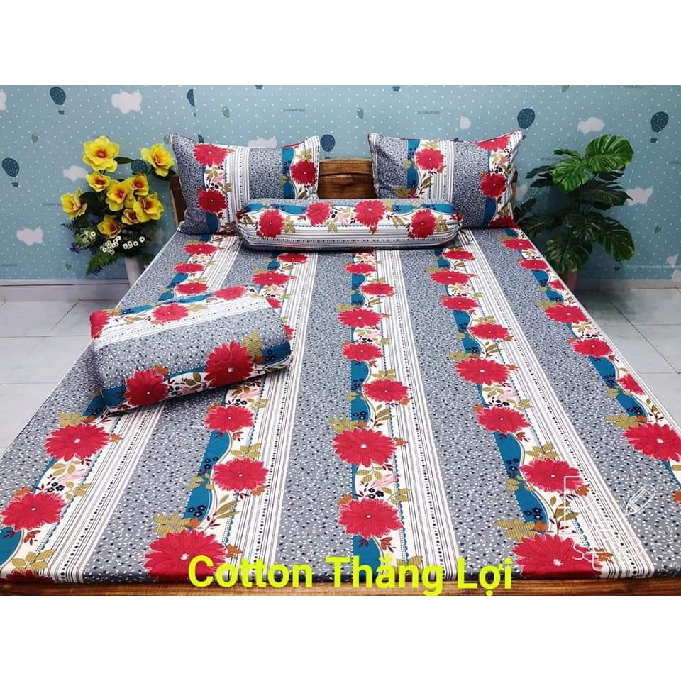 Bộ Drap Cotton Thắng Lợi không mền - chính hãng-1m6