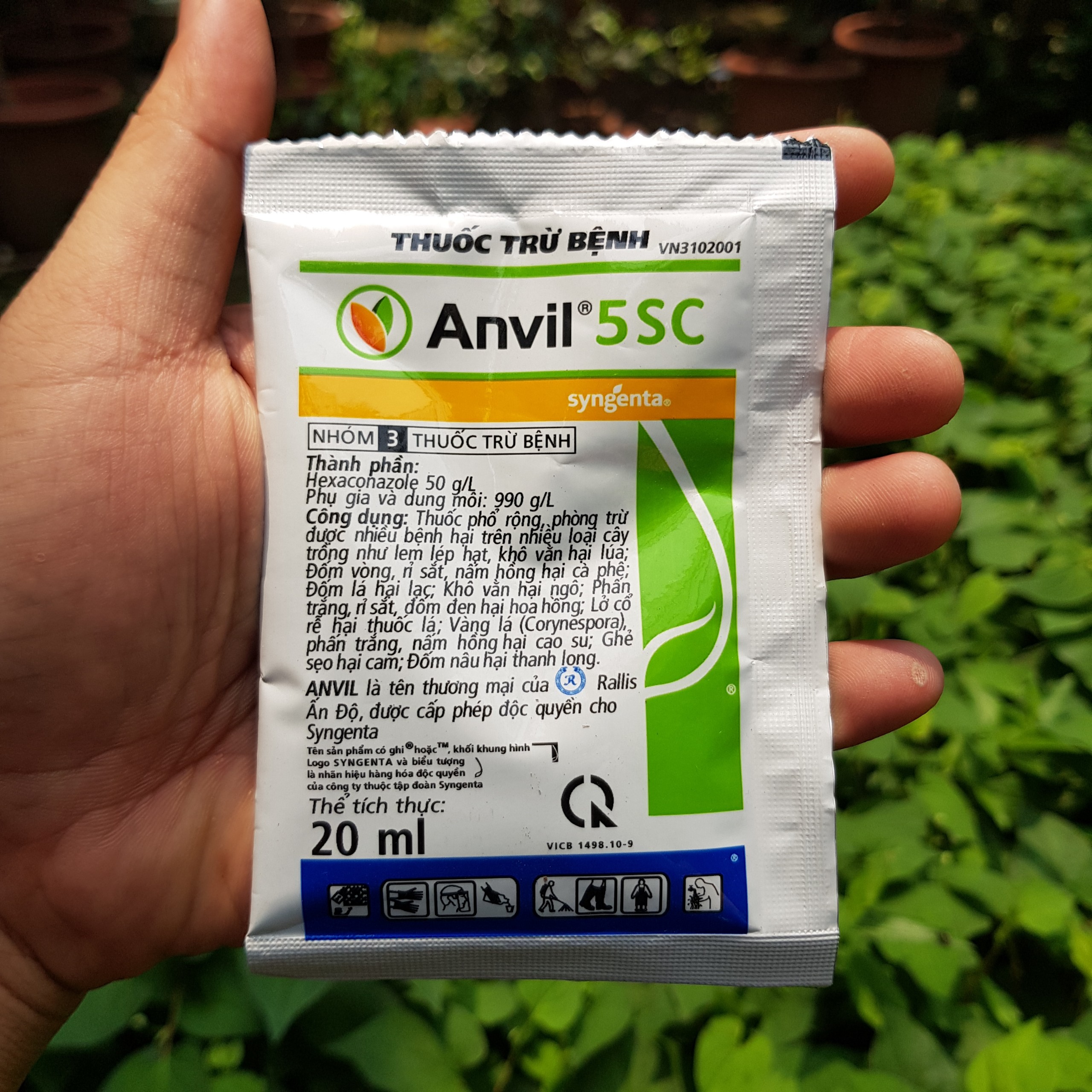 Gói 20ml Anvil 5SC thuốc trừ nấm bệnh rỉ sắt khô vằn chính hãng Syngenta Thụy Sỹ
