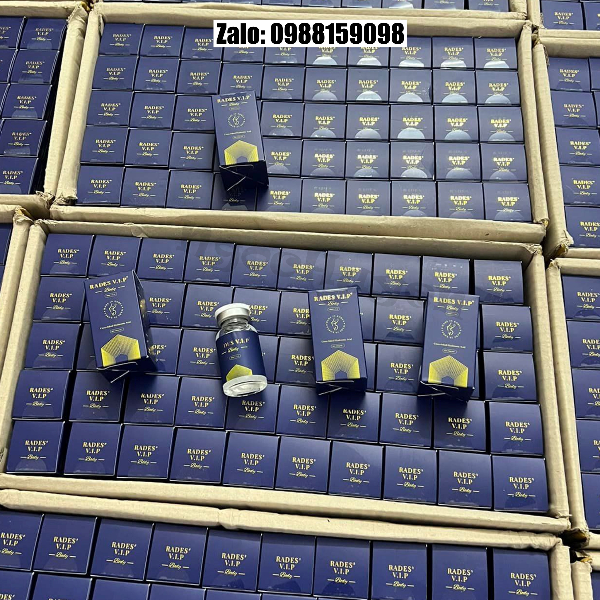 Filler Body Rades Body 60cc/hộp