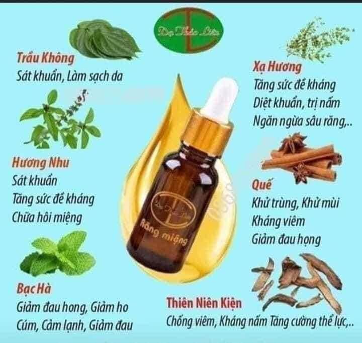 Tinh Dầu Sâu Răng Dạ Thảo Liên - Tinh Dầu Hỗ Trợ Giảm Sâu Răng Hôi Miệng Viêm Lợi Tinh Dầu Dạ Thảo Liên Loại Bỏ Sâu Răng Hôi Miệng Giảm Đau Ngay Lần Đầu Sử Dụng An Toàn Cho Bé - 5 Ml