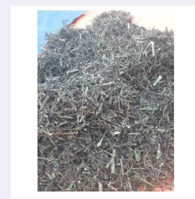 Cây rau mương 1kg LV391