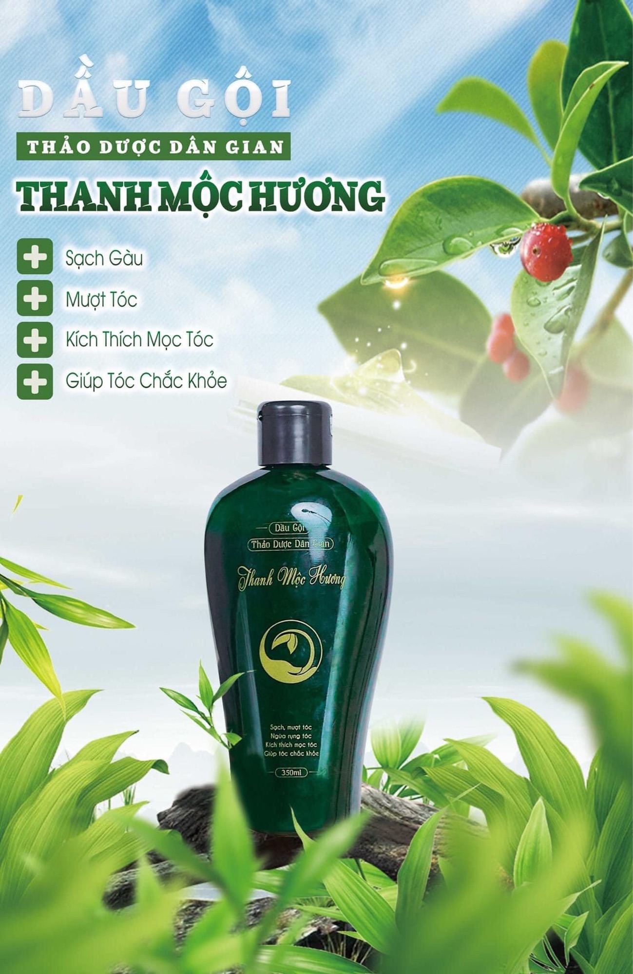 [Hcm]Dài Gội Thảo Dược Thanhh Mộcc Hương Sạch Gàugiảm Gãy Rụng