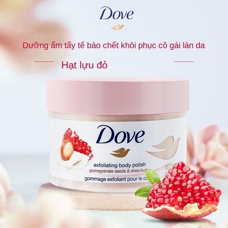 Set 2 Hũ Tẩy Tế Bào Chết Body Dove | Set Tẩy Da Chết Body Dove Exfoliating Body Polish (Set 3 Hũ và 