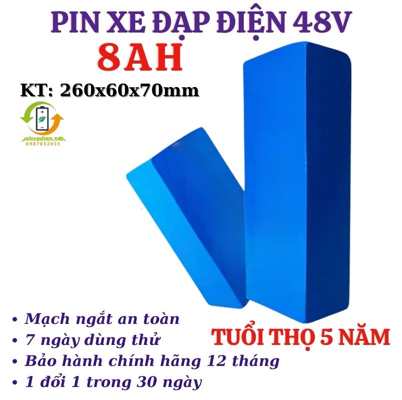 Bộ pin xe đạp điện 48V( Lõi pin+ mạch bảo vệ+ sạc)