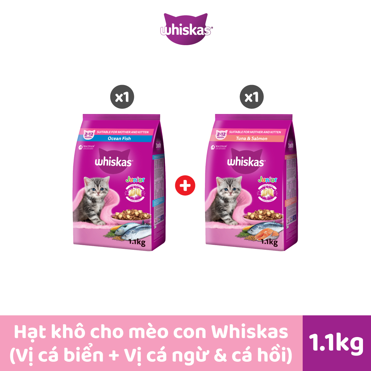 Bộ 2 túi thức ăn WHISKAS®  cho mèo con dạng hạt 1.1kg (2 túi)