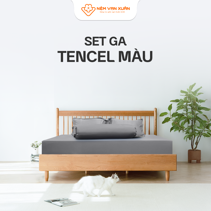 Bộ ga Tencel 50% Tencel cao cấp và 50% Cotton Thoáng Mát Thiết Kế Đơn Giản Sang Trọng Quà Tặng Ivy I