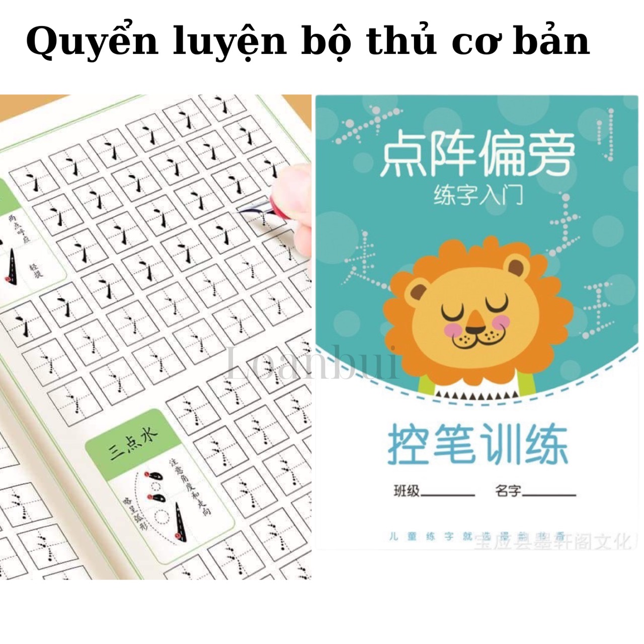 Combo 3 quyển vở tập viết chữ Hán luyện viết tiếng Trung loại đẹp