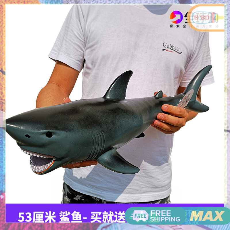 Mô Hình Kim Loại Lắp Ráp 3D Microworld Cá Mập Hổ The Deep Sea Tiger Shark   MP974  ArtPuzzlevn
