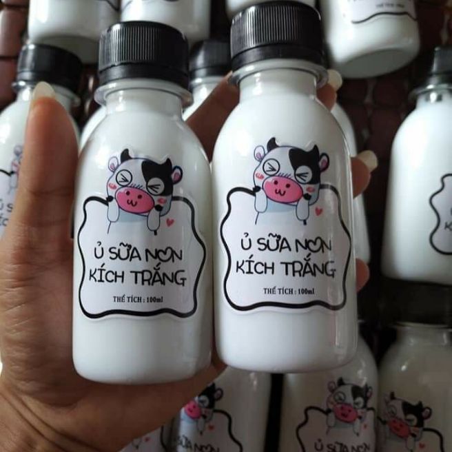 ủ sữa non kích trắng
