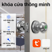 Khóa cửa thông minh vân tay TUYA app mở khóa tay nắm cửa kèm chìa khóa phù hợp cửa phòng ngủ phòng học bảo hành 6 tháng