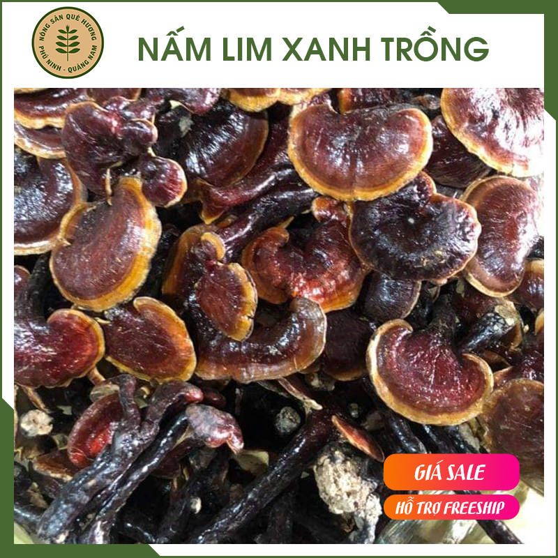 1Kg Nấm Lim Xanh Trồng Quảng Nam