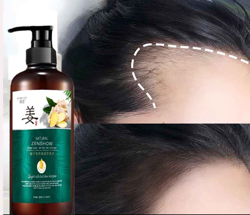 Dầu Gội Gừng Hương Nhu Hương Xưa Kích Thích Mọc Tóc Chống Lão Hóa Tóc Nuôi Dưỡng Tóc Dài Đẹp Giảm Rụng Tóc Giảm Nguy Cơ Hói Đầu