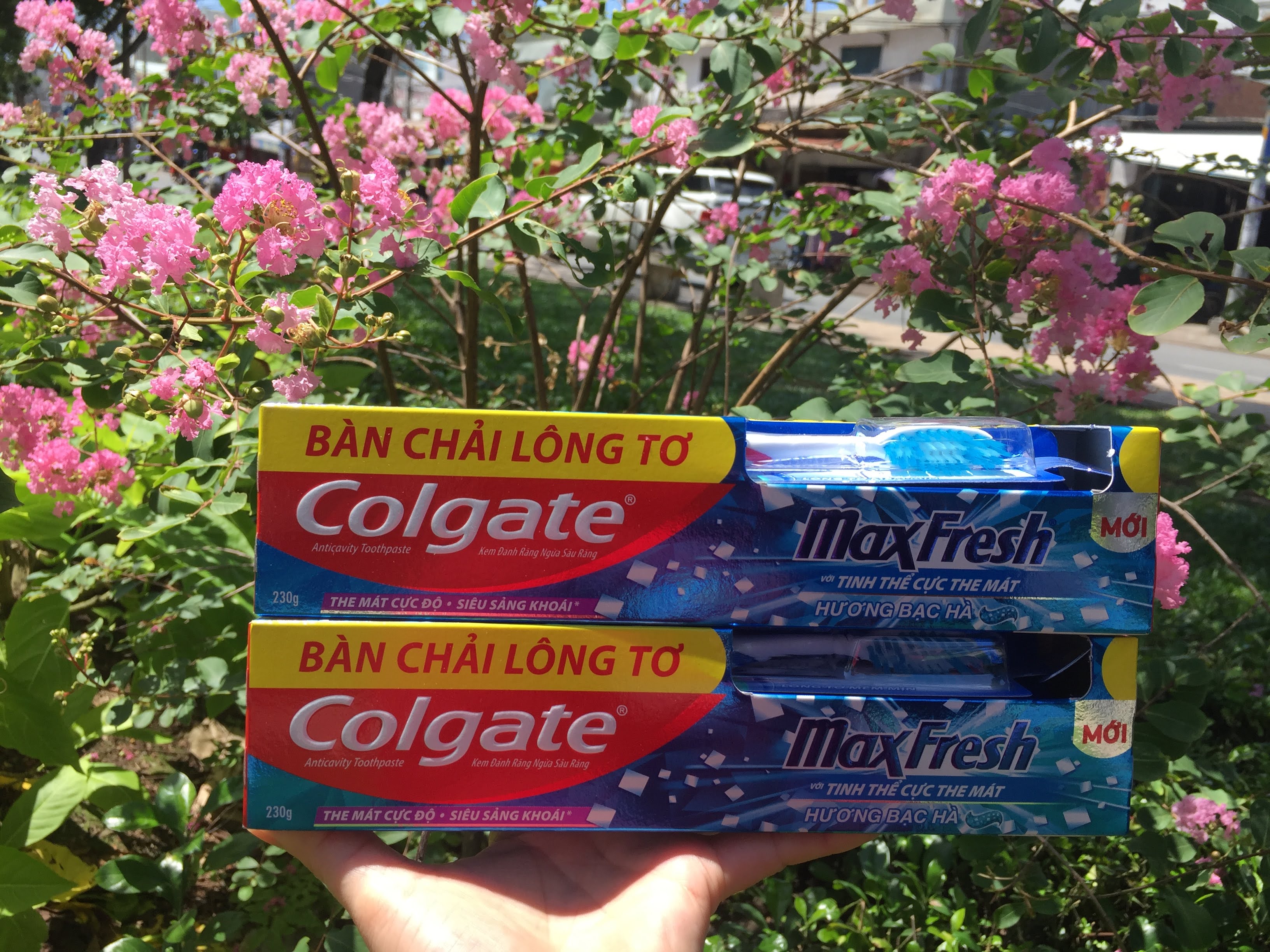Combo 2 Kem Đánh Răng Colgate Cực The Mát 460 Gram - Tặng Bàn Chải Cao Cấp