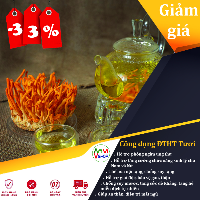 [Hcm][ Tặng ] Phiếu Mua Hàng Giảm Giá 50.000Đ - 200.000Đ - 20% Khi Mua | Đông Trùng Hạ Thảo ( Loại Tươi/Hộp 110G ) Tại Shop