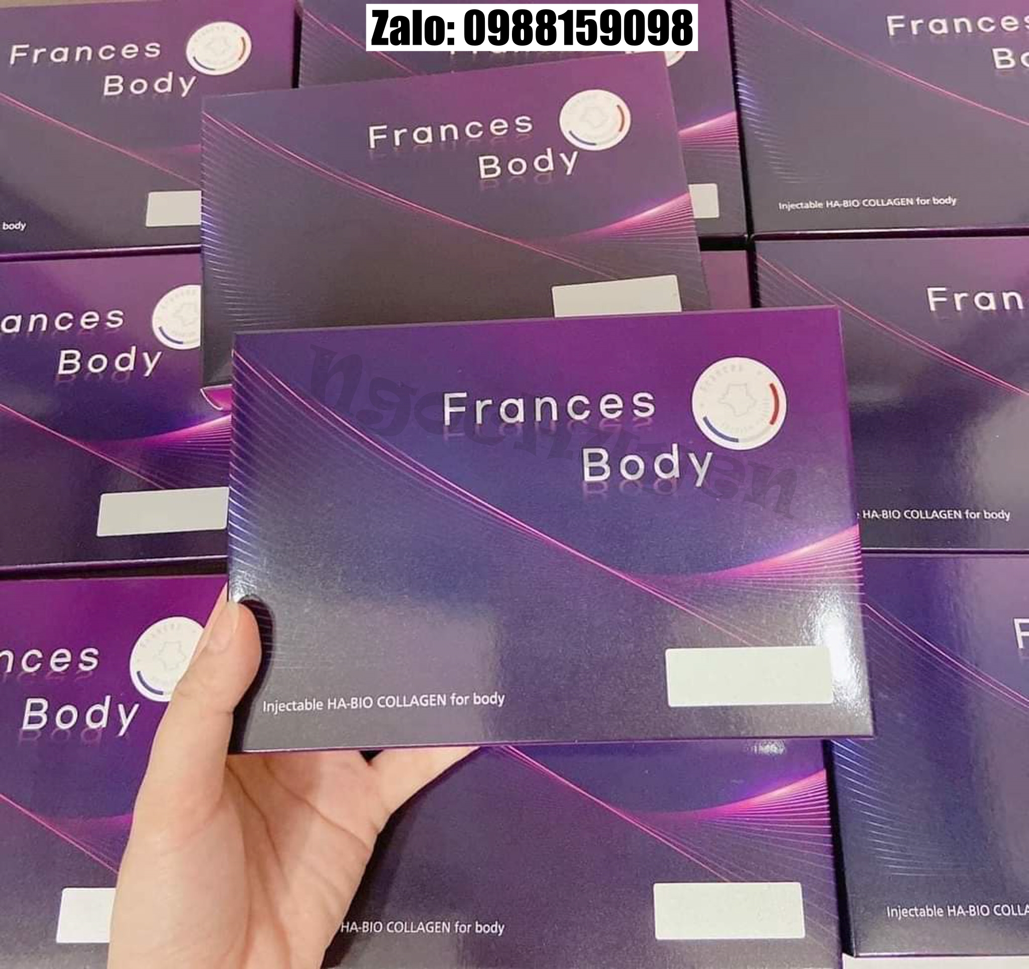 Filler Body Frances Body 110cc/hộp