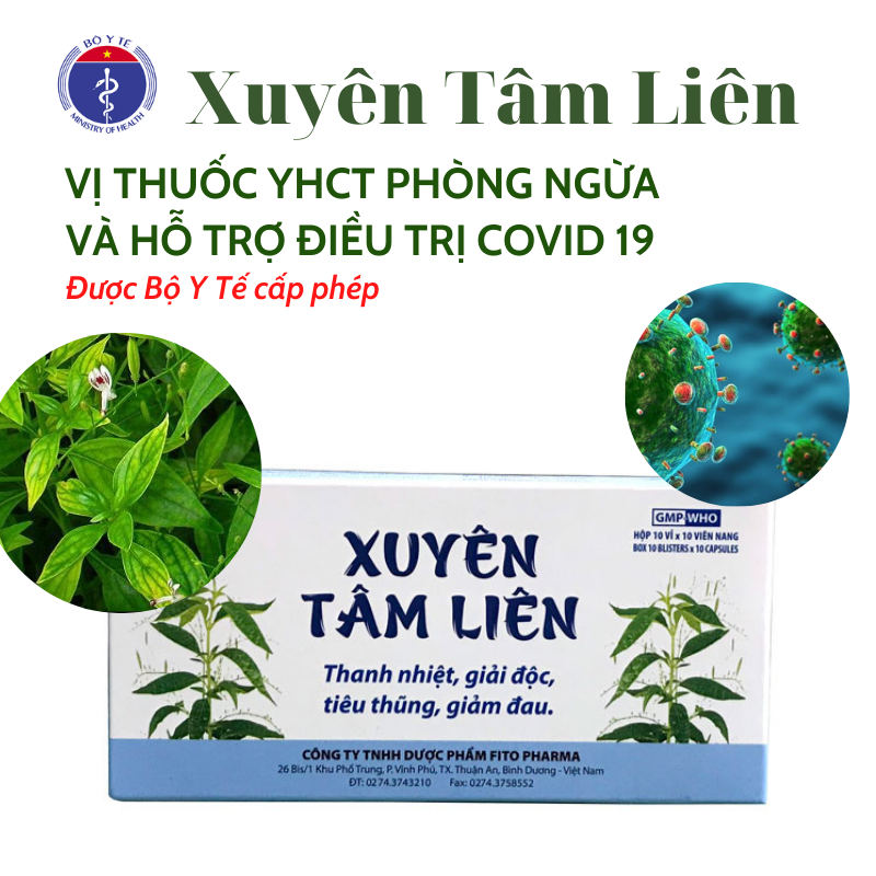 Viên uống Xuyên Tâm Liên - Thảo dược Y học cổ truyền Giảm ho Đau đầu Cảm cúm